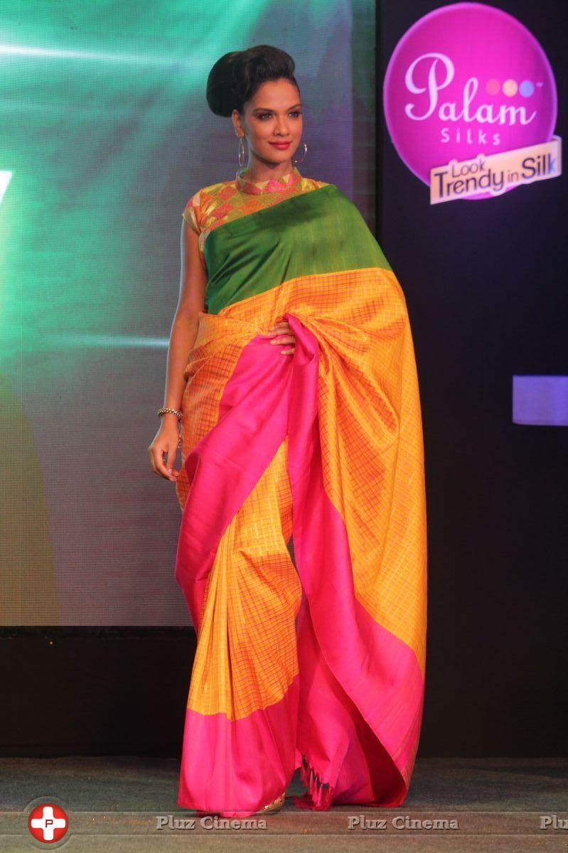 Palam Silks 15 Fashion Show Of Happy Near Film Bollywood Stars Photos | Picture 839423
