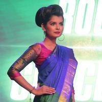 Palam Silks 15 Fashion Show Of Happy Near Film Bollywood Stars Photos | Picture 839408