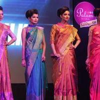 Palam Silks 15 Fashion Show Of Happy Near Film Bollywood Stars Photos | Picture 839412