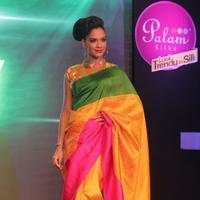 Palam Silks 15 Fashion Show Of Happy Near Film Bollywood Stars Photos | Picture 839423