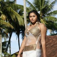 Namitha - Enga Maruthu Movie Stills | Picture 682051