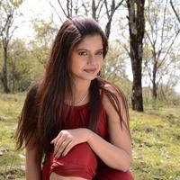 Preethi Das - Marumugam Movie Hot Stills | Picture 686452