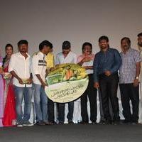 Pannaiyarum Padminiyum Movie Audio Launch Stills