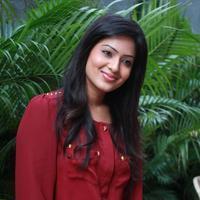 Nikesha Patel - Ennamo Edho Movie Press Meet Stills | Picture 618561