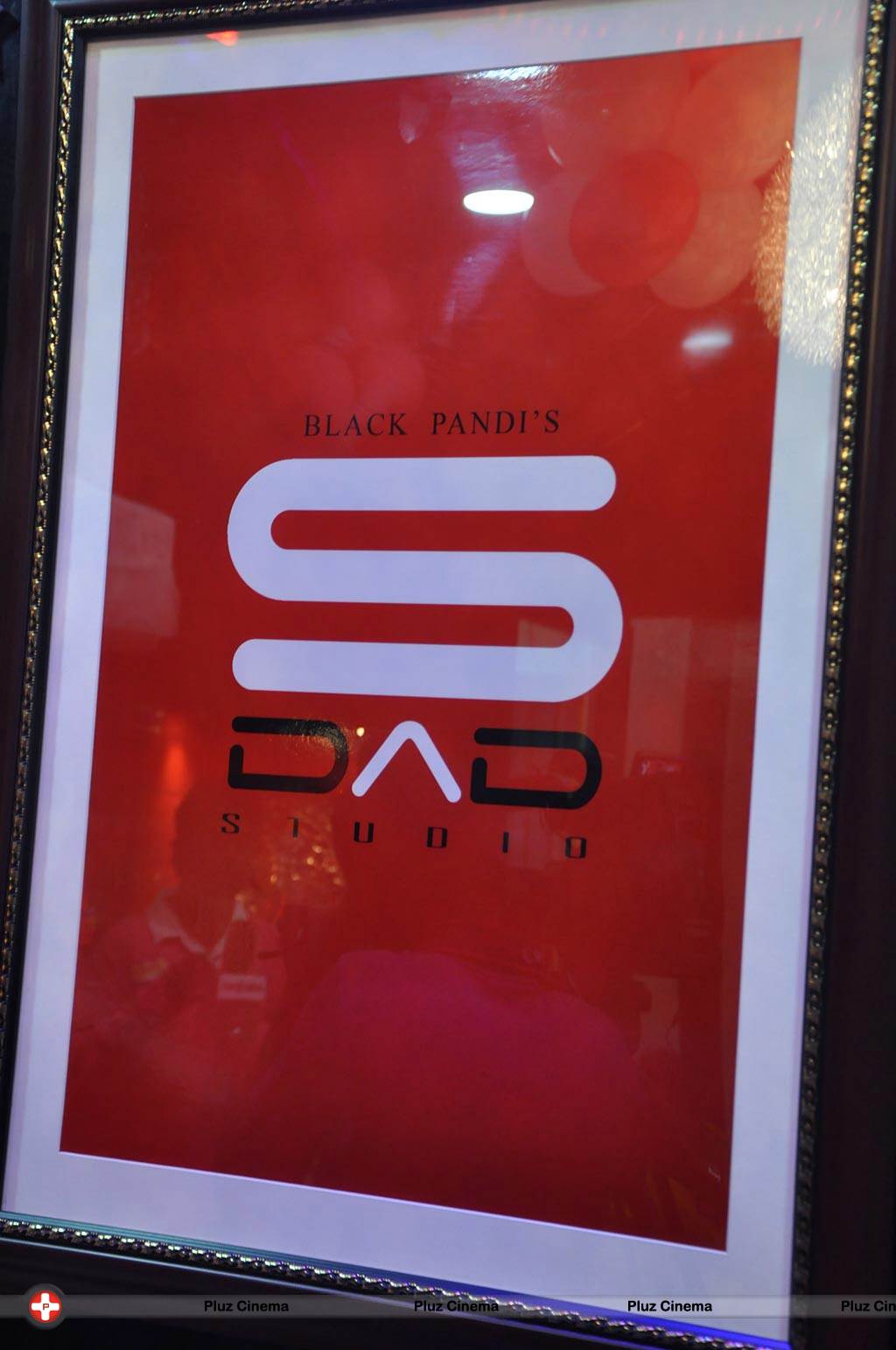 Black Pandi's S DAD Studio Launch Stills | Picture 575467