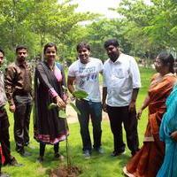 Vanakkam Chennai Crew Planted 100 Sapling at Dr.MGR Janaki College Photos