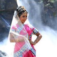 Advaitha - Maanga Movie Photos | Picture 785832