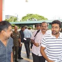 Surya at Gokulam Park in Kochi Pictures | Picture 787936