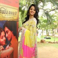 Vedhika Kumar - Kaaviya Thalaivan Movie Audio Launch Stills | Picture 804371