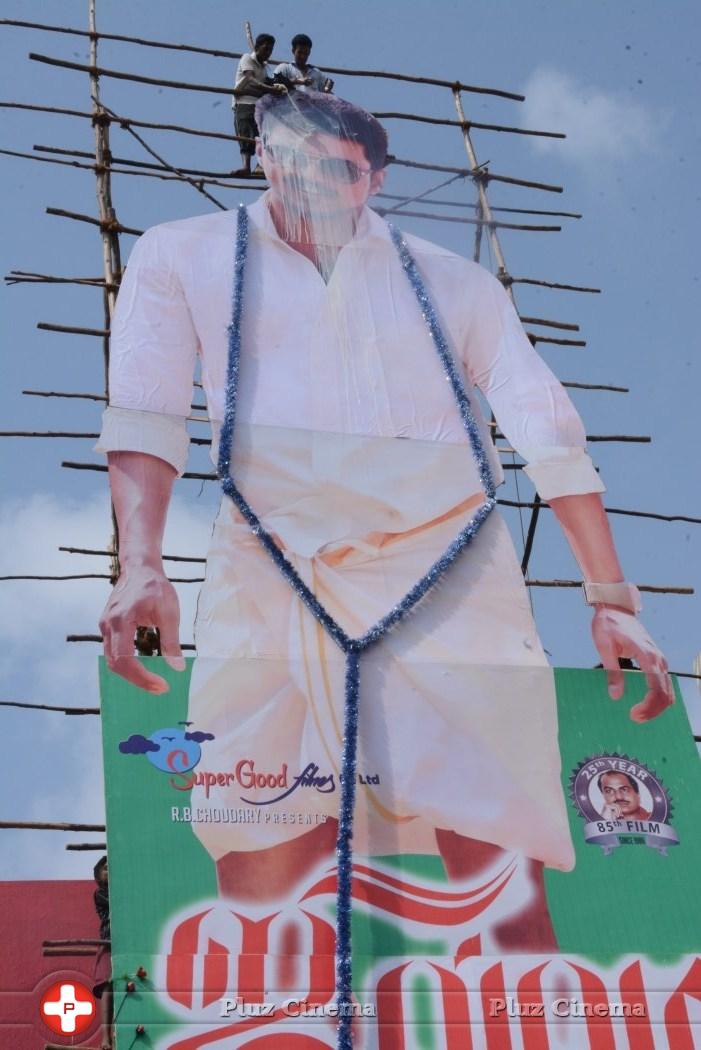 Vijay fans celebrating Jilla movie for his 80 feet cut out at Chennai Photos | Picture 694064