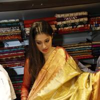 Raai Laxmi - Lakshmi Rai Inaugurates Shree Niketan Showroom Photos | Picture 694216