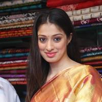 Raai Laxmi - Lakshmi Rai Inaugurates Shree Niketan Showroom Photos