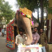 Vijay Fans Celebrating Jilla Movie first day Photos | Picture 695342
