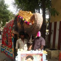 Vijay Fans Celebrating Jilla Movie first day Photos | Picture 695343