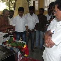 Vijay Fans Celebrating Jilla Movie first day Photos | Picture 695349