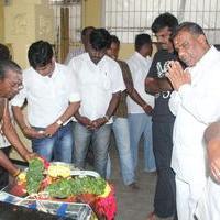 Vijay Fans Celebrating Jilla Movie first day Photos | Picture 695350