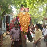 Vijay Fans Celebrating Jilla Movie first day Photos | Picture 695358