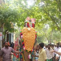 Vijay Fans Celebrating Jilla Movie first day Photos | Picture 695359