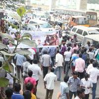 Vijay Fans Celebrating Jilla Movie first day Photos | Picture 695381