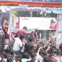 Vijay Fans Celebrating Jilla Movie first day Photos | Picture 695387