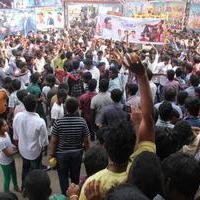 Vijay Fans Celebrating Jilla Movie first day Photos | Picture 695391