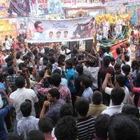 Vijay Fans Celebrating Jilla Movie first day Photos | Picture 695393