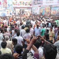 Vijay Fans Celebrating Jilla Movie first day Photos | Picture 695401