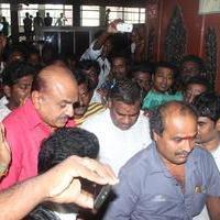 Vijay Fans Celebrating Jilla Movie first day Photos | Picture 695405