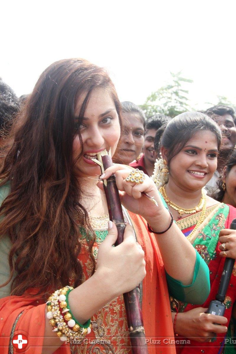 Namitha - Namitha Celebrates Pongal at SMK Fomra College and Encourages Blood Donation Photos | Picture 696455
