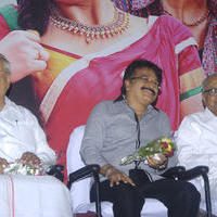 Aindhaam Thalaimurai Sidha Vaidhiya Sigamani Movie Audio Launch Photos | Picture 771956