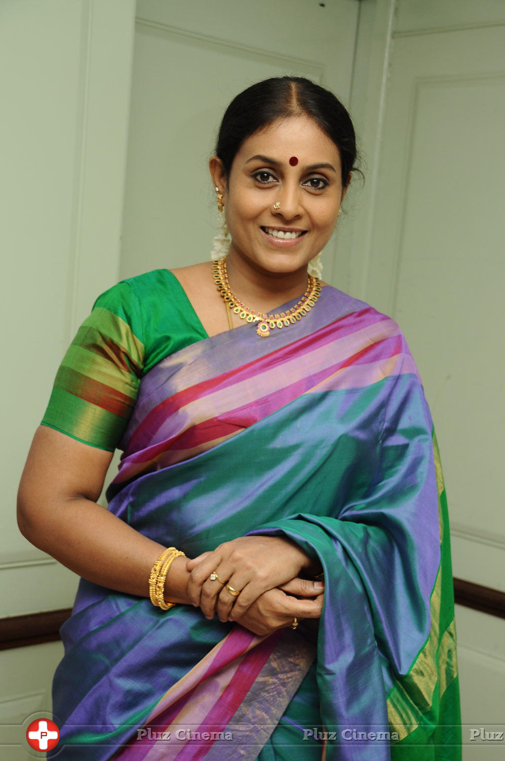 Saranya Ponvannan - Pappali Movie Team Interview Photos | Picture 774595