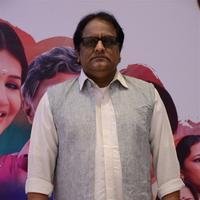 Bharathwaj - Azhagiya Pandipuram Movie Audio Launch Photos