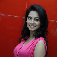 Pooja (Actress) - Kadavul Paathi Mirugam Paathi Movie Audio Launch Stills | Picture 780619