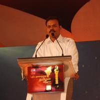 Puthiyathalaimurai Tamilan Awards 2014 Photos