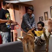 Naaigal Jaakirathai Movie Working Pictures | Picture 815256