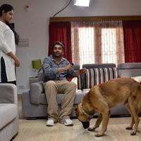 Naaigal Jaakirathai Movie Working Pictures | Picture 815259