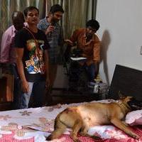 Naaigal Jaakirathai Movie Working Pictures | Picture 815260