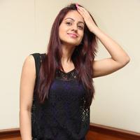 Aksha Pardasany at Salim Movie Success Meet Photos | Picture 817205