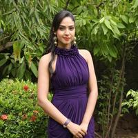 Angana Roy at Mahabalipuram Movie Press Meet Stills | Picture 816469