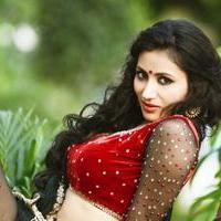 Model Urvashi Solanki crowned Miss Indore Online 2014 Photos