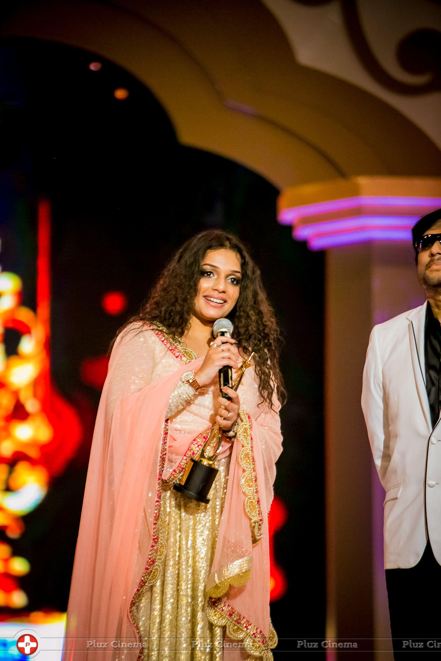 SIIMA Awards 2014 Photos | Picture 823357