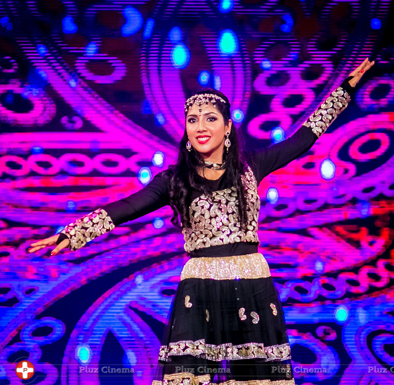 SIIMA Awards 2014 Photos | Picture 823365