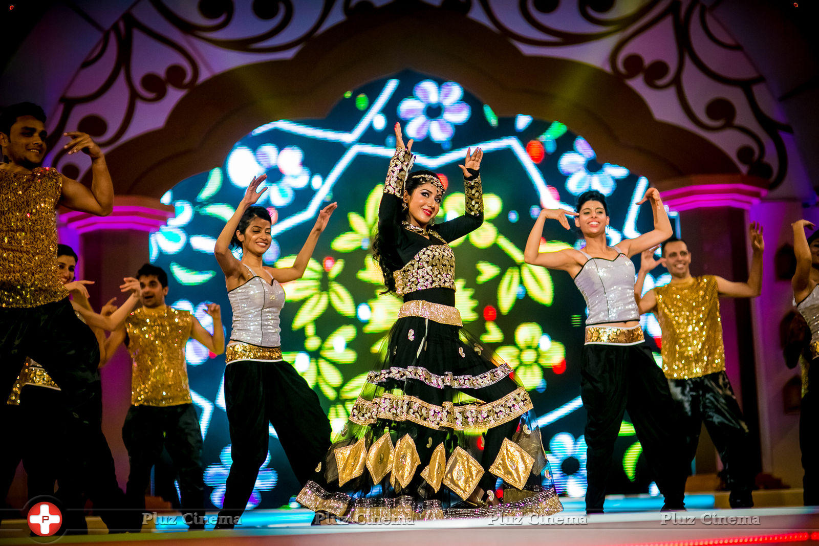 SIIMA Awards 2014 Photos | Picture 823394