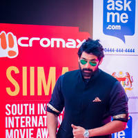 SIIMA Awards 2014 Photos | Picture 823317