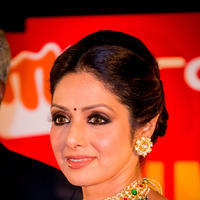 Sridevi Kapoor - SIIMA Awards 2014 Photos