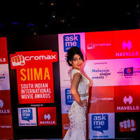 SIIMA Awards 2014 Photos | Picture 823412