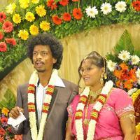Sendrayan Wedding Reception Photos