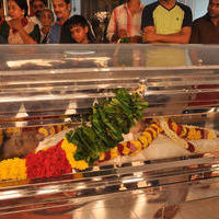Mandolin U Srinivas Passed Away Stills | Picture 828688