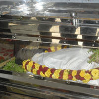 Mandolin U Srinivas Passed Away Stills | Picture 830019