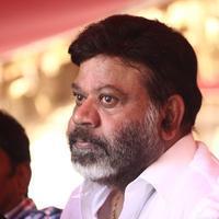P. Vasu - Tamil Film Industry Hunger Strike Against Jayalalitha Judgment Photos
